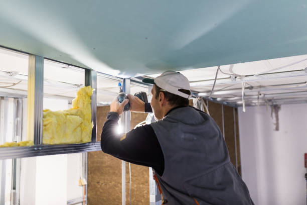 Best Spray Foam Insulation  in Dadeville, AL