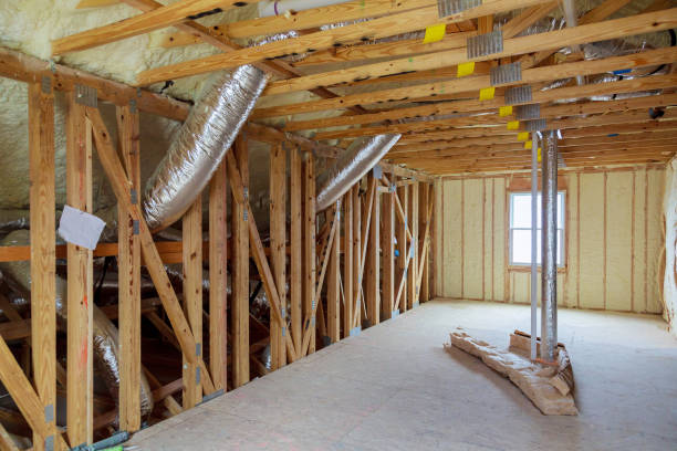 Best Insulation Replacement Services  in Dadeville, AL