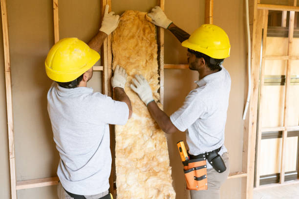 Best Wall Insulation Contractor  in Dadeville, AL