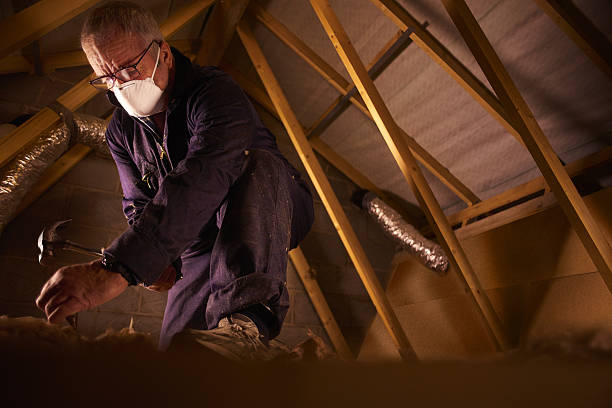 Best Best Insulation Companies  in Dadeville, AL