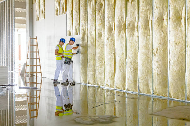 Best Blown-in Insulation  in Dadeville, AL